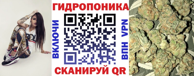 Марихуана план  Купить  Ступино 